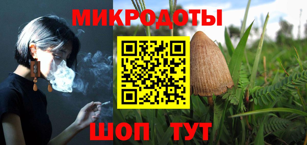Псилоцибиновые грибы Cubensis Ялуторовск